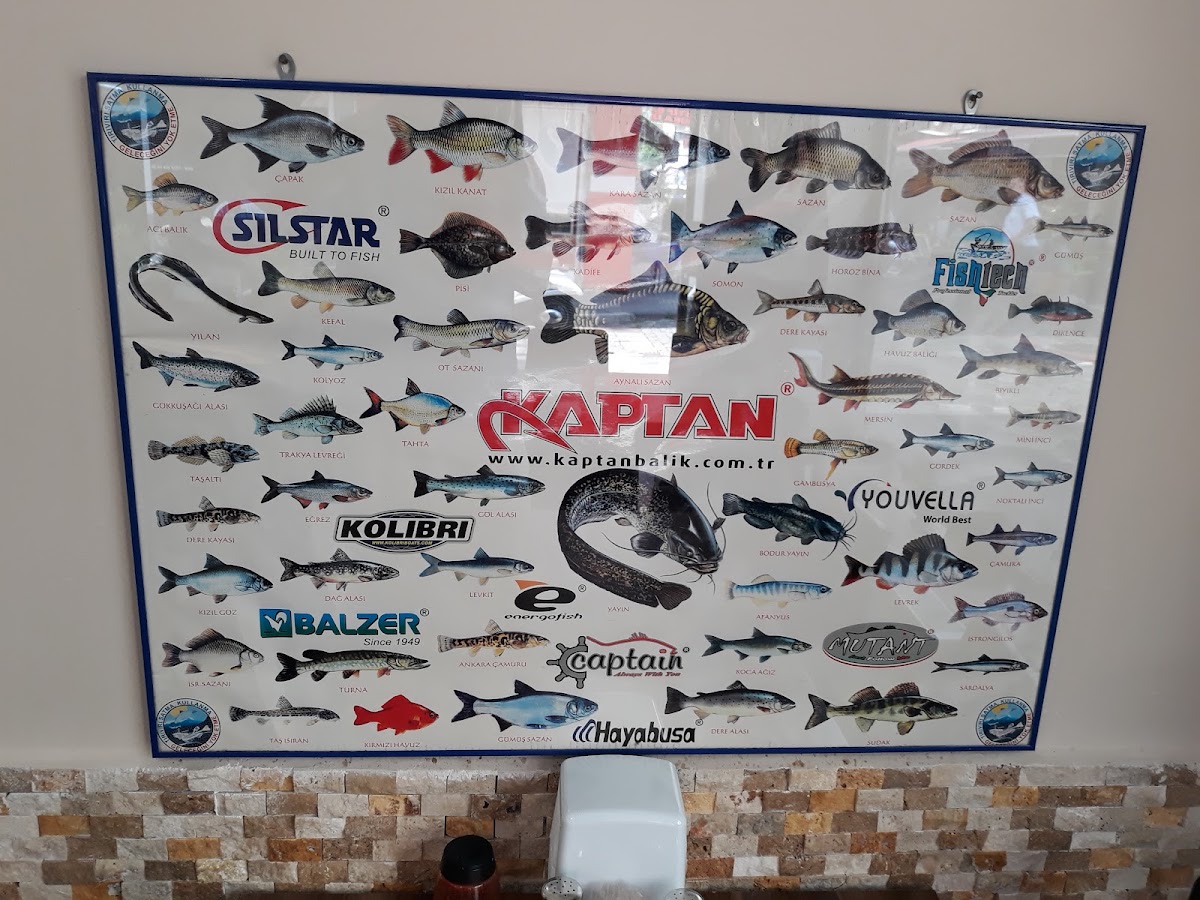 Yakamoz Balık Lokantası