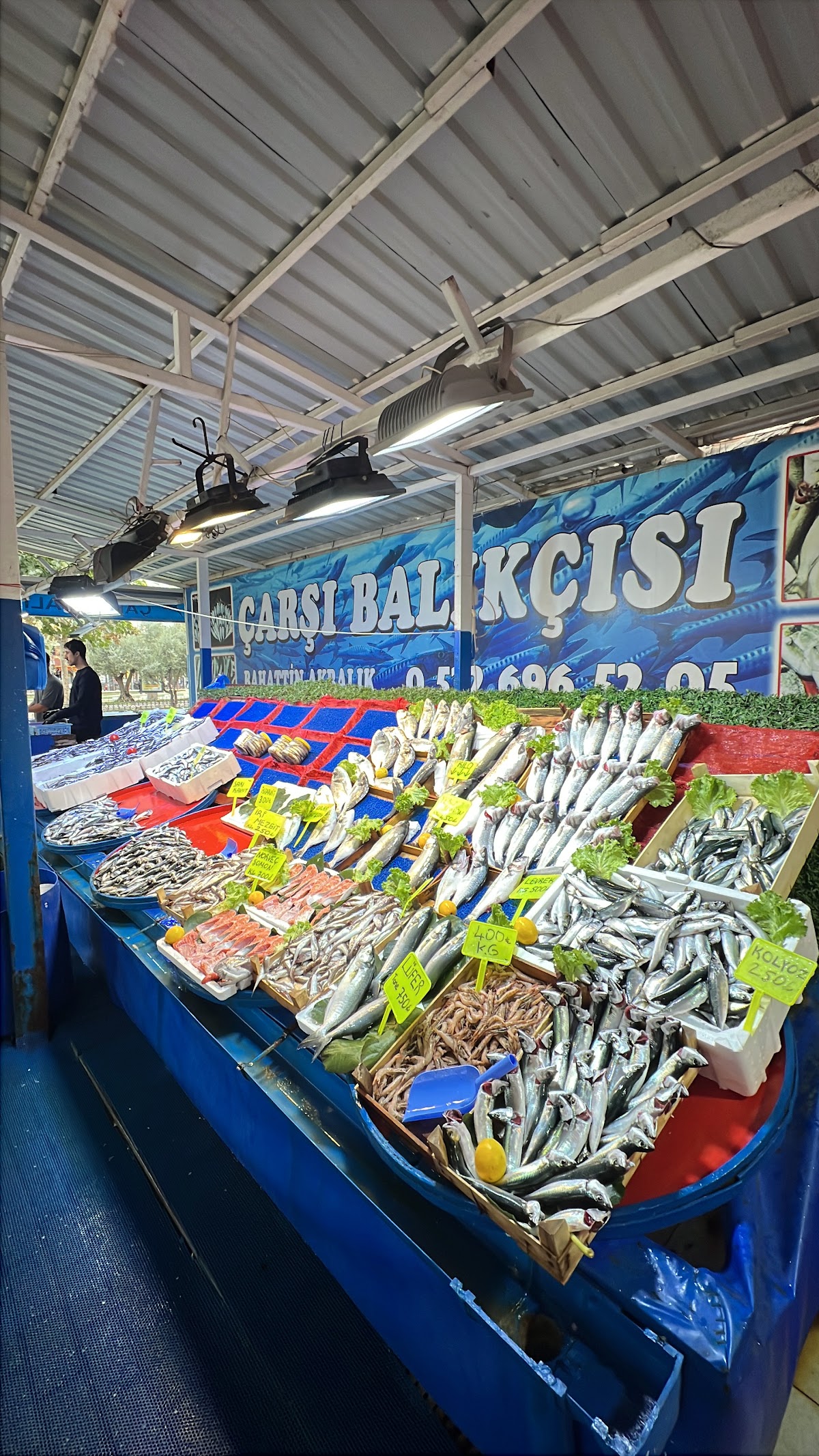 Gemlik Çarşı Balıkçılık