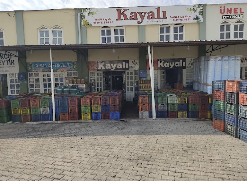 Kayalı Zeytincilik