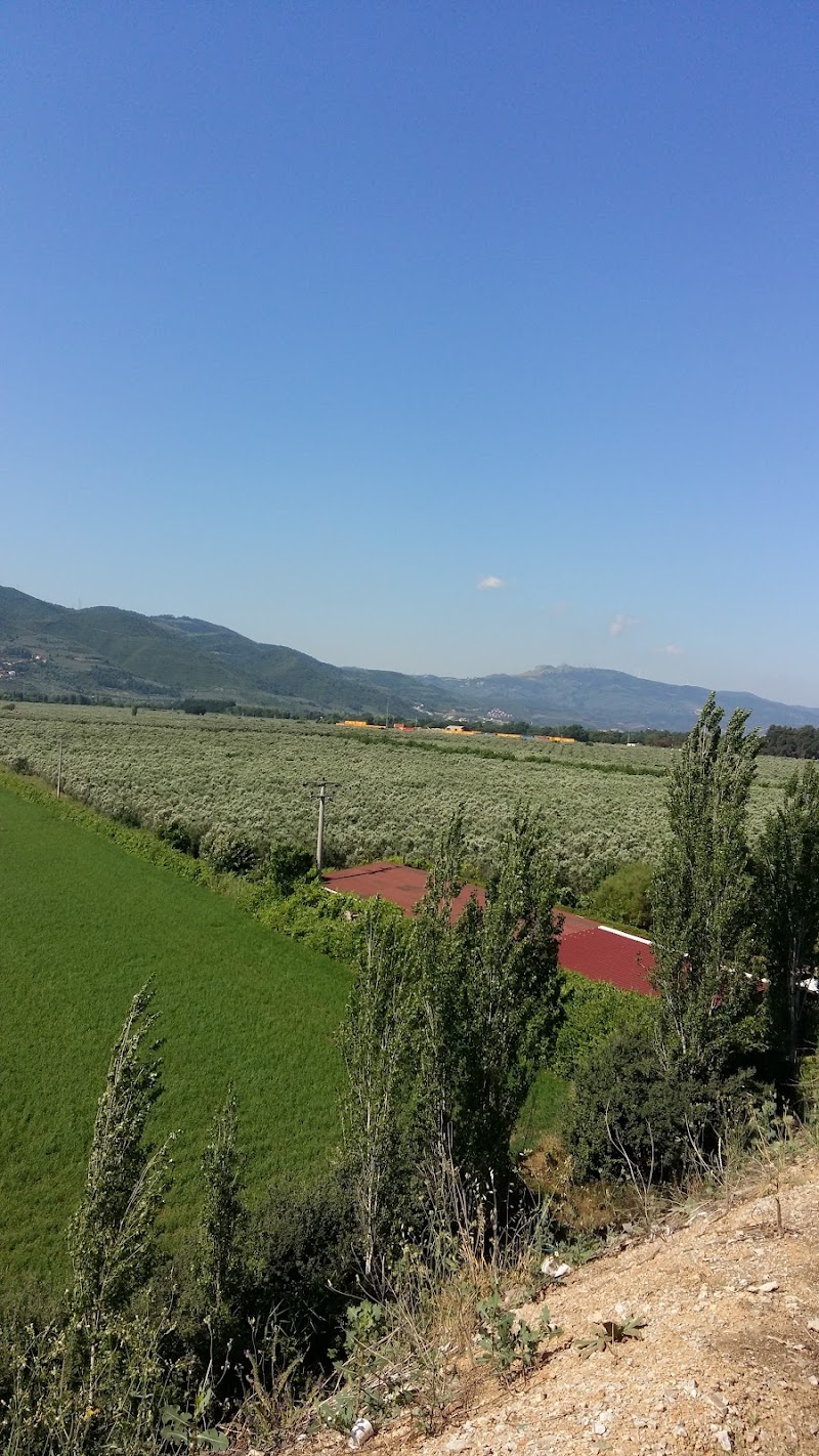 Bursa Free Zone