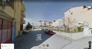 Çamlık Sokak Resim