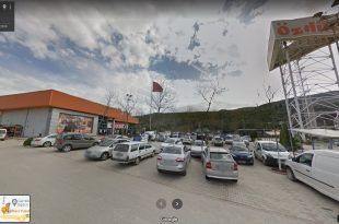 Gemlik Özdilek