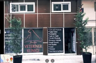 Petlife Veteriner