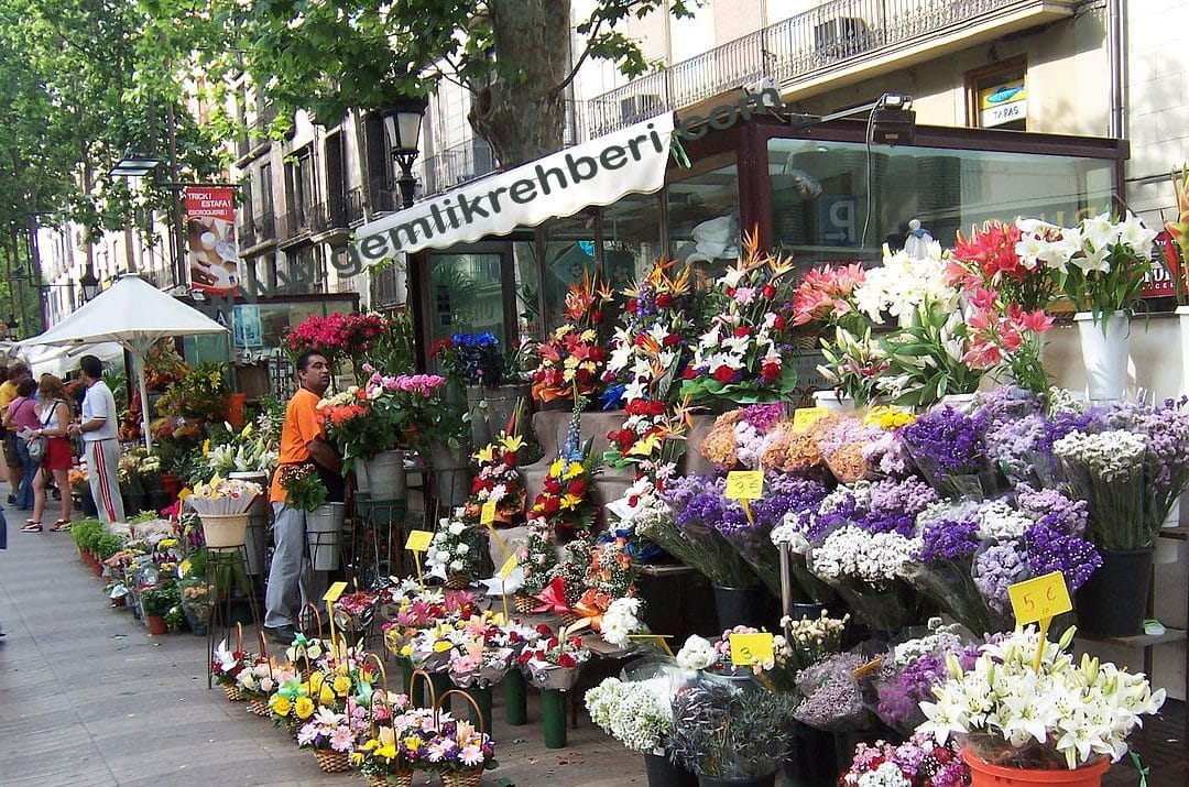 Gemlik Çiçekçi