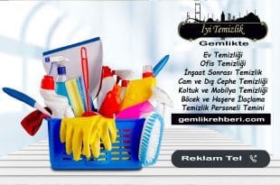 Ev Temizliği Gemlik