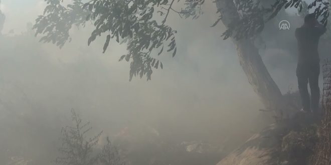 Bursa'nın Gemlik ilçesindeki makilik alanda çıkan yangın kontrol altına alındı