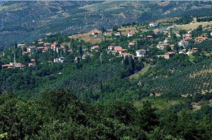 Kavakdibi Köyü