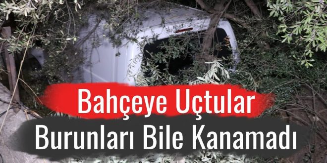 Bahçeye Uçtular Burunları Bile Kanamadı
