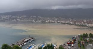 Gemlik’te etkili olan yağış sonrası dereler kanalıyla akan su  körfezi  çamur de...