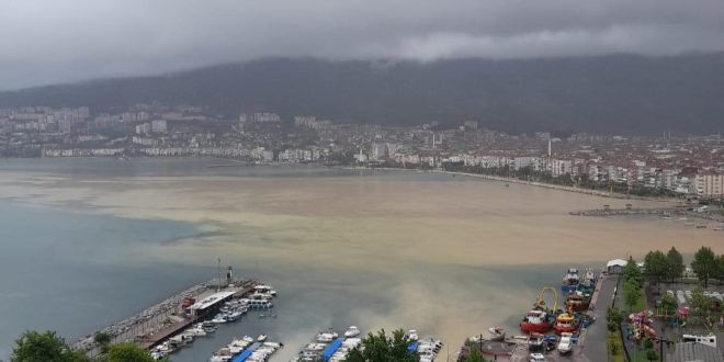 Gemlik’te etkili olan yağış sonrası dereler kanalıyla akan su  körfezi  çamur de...