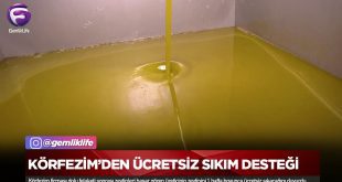 Körfezim Zeytinyağı Fabrikasından Ücretsiz Sıkım Desteği