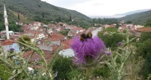 Küçük Kumla Köyü