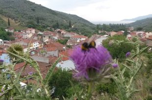 Küçük Kumla Köyü