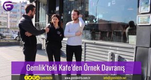 Sokak Hayvanları İçin Mama ve Su Kabı