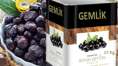 Gemlik zeytini,