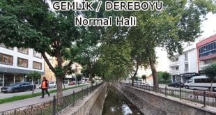 Halkımız İsterse Olur! Gemlik’te Yeni Yaşam Alanlarıyla Geleceğe Dokunuyoruz | Gemlik Rehberi