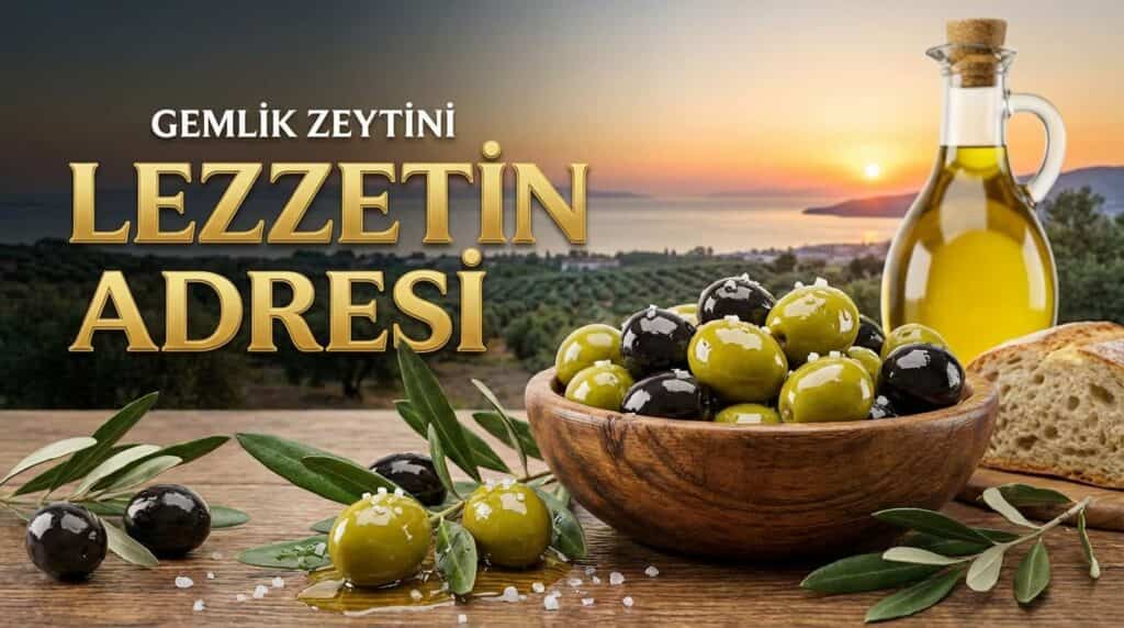 Gemlik Zeytini: Türkiye’de Bir Lezzet Mirası