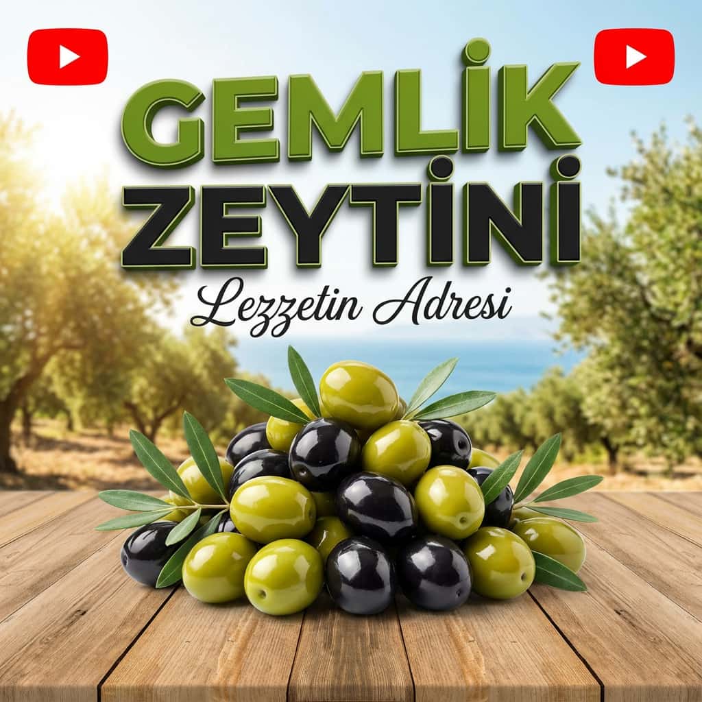 Gemlik Zeytini