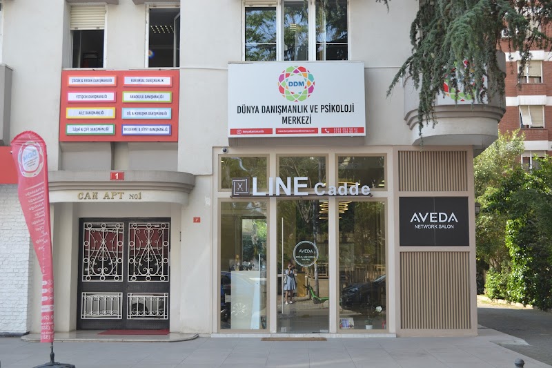 Kadıköy Dünya Danışmanlık ve Psikoloji Merkezi | Kadıköy Psikolog – Gemlik
