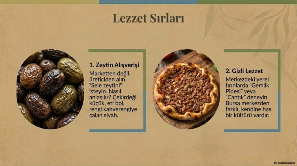 Discovering Gemlik page 0009