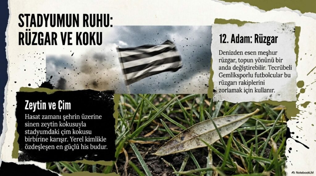 Gemlikspor_Efsanesi_page-0007 Gemlikspor Efsanesi page 0007