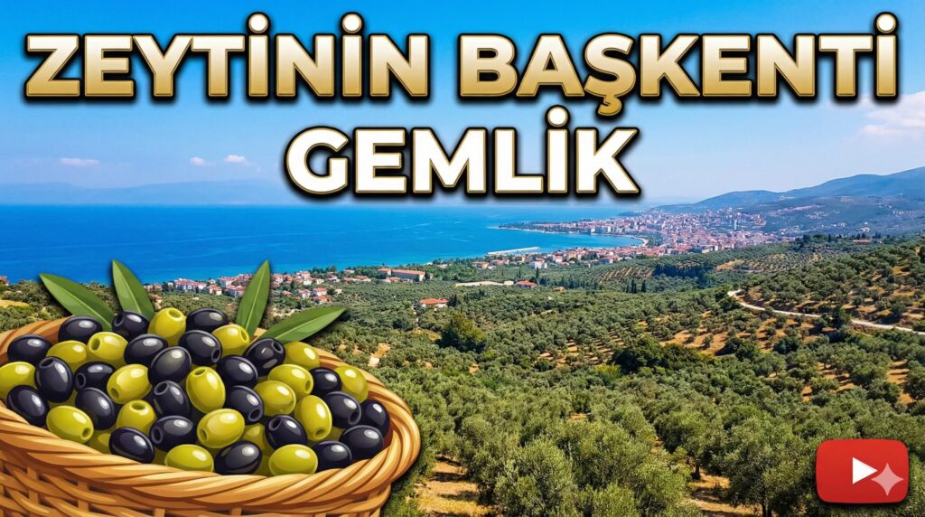 Zeytinin Başkenti Gemlik: Dünyanın En İyi Sofralık Zeytini Hakkında Kapsamlı Rehber