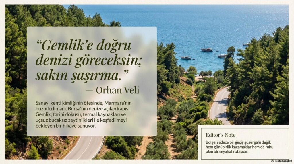 Zeytinin Baskenti Gemlik page 0002