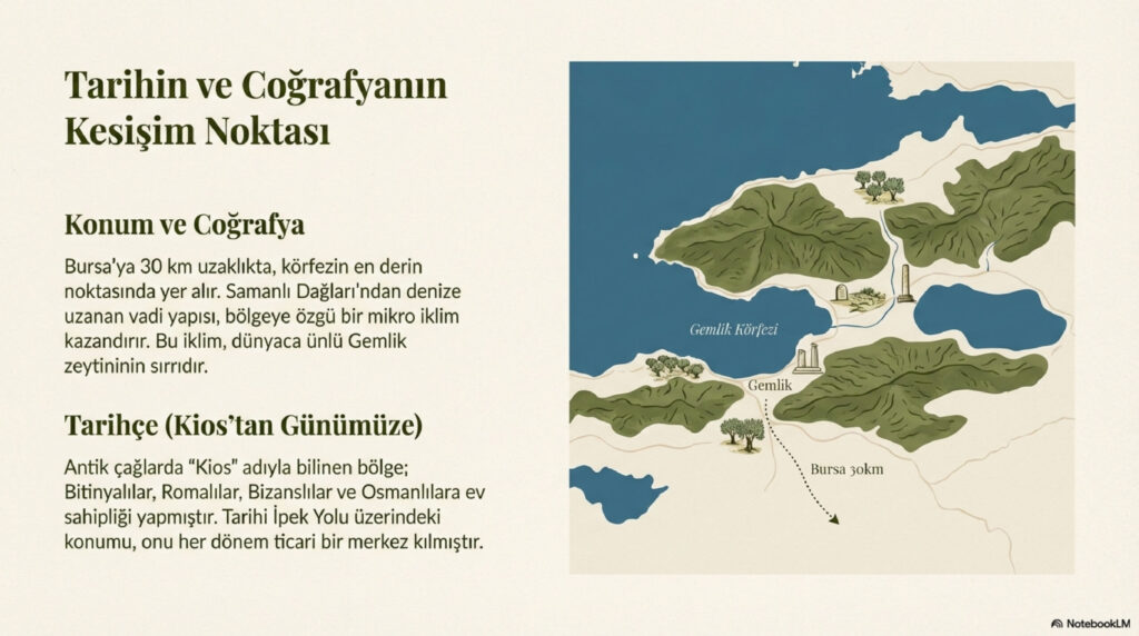 Zeytinin Baskenti Gemlik page 0003