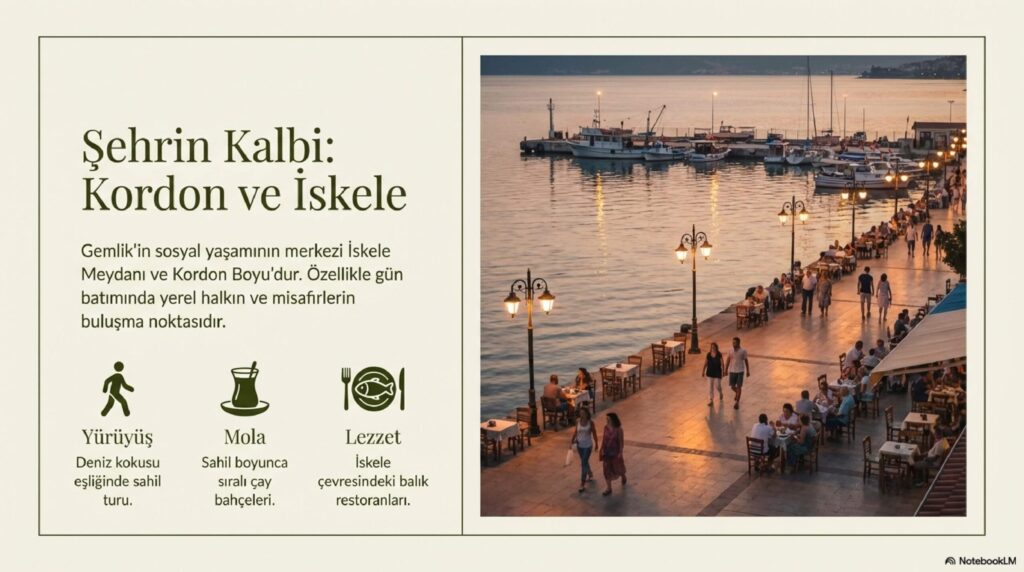 Zeytinin Baskenti Gemlik page 0004