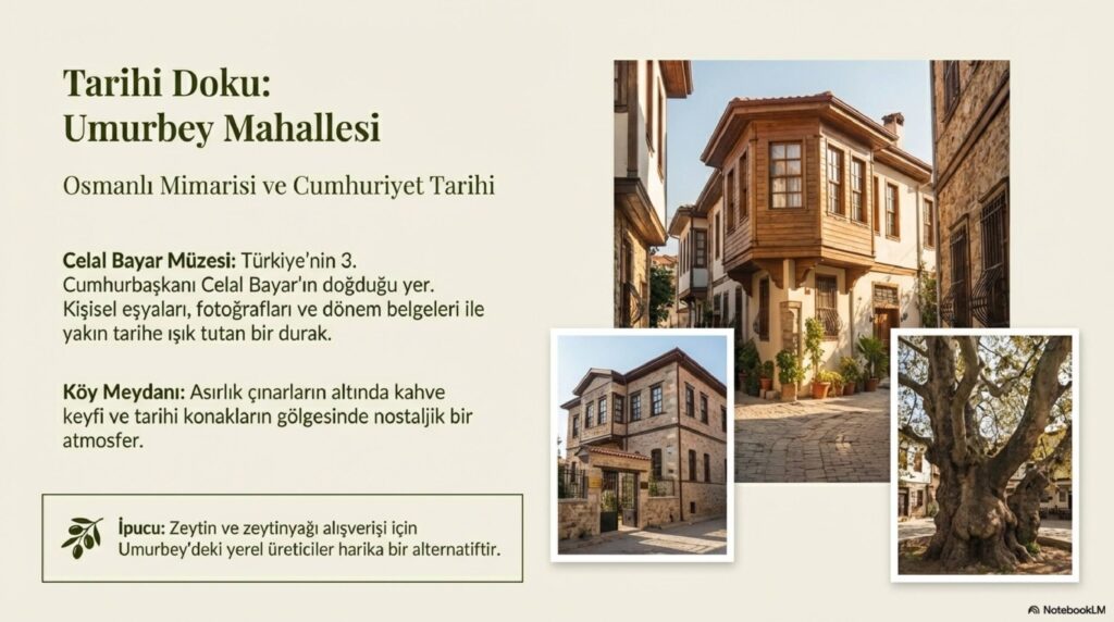 Zeytinin Baskenti Gemlik page 0005