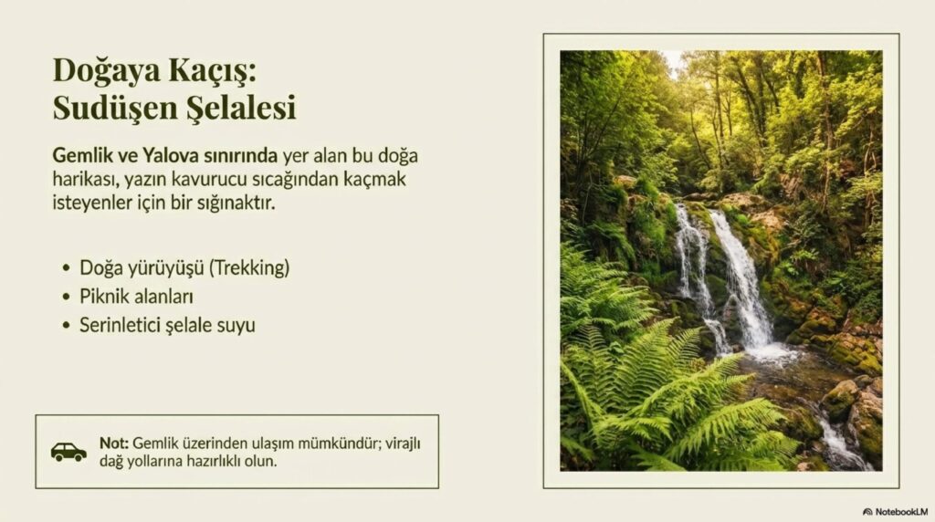 Zeytinin Baskenti Gemlik page 0006