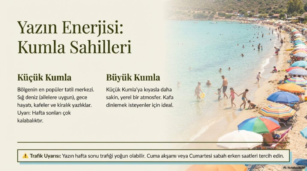 Zeytinin Baskenti Gemlik page 0007