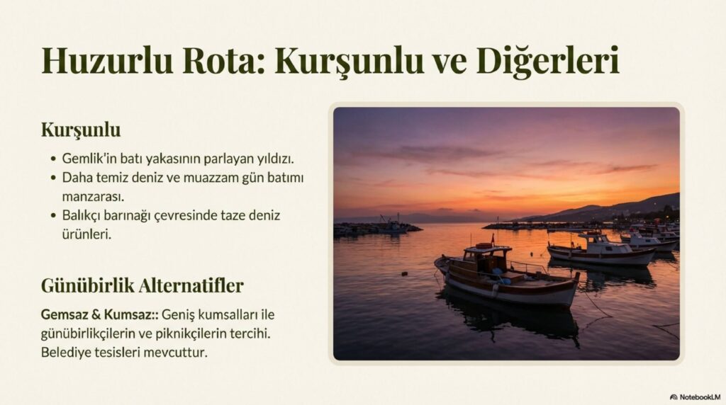 Zeytinin Baskenti Gemlik page 0008