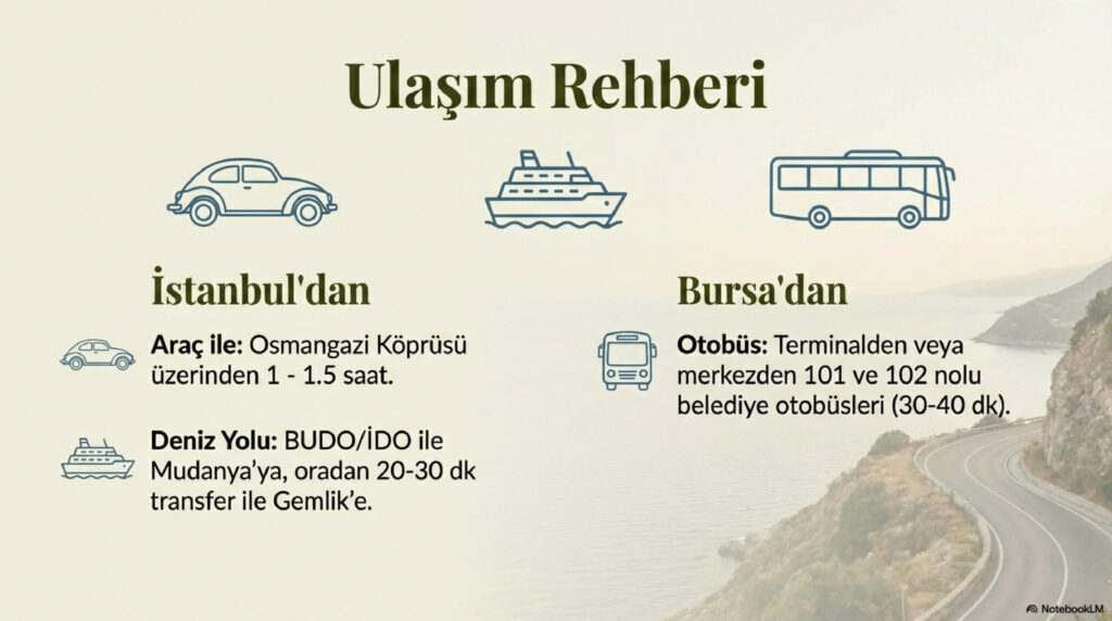 Zeytinin Baskenti Gemlik page 0013