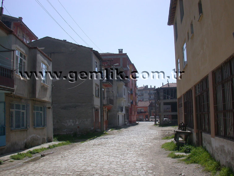 akar akar