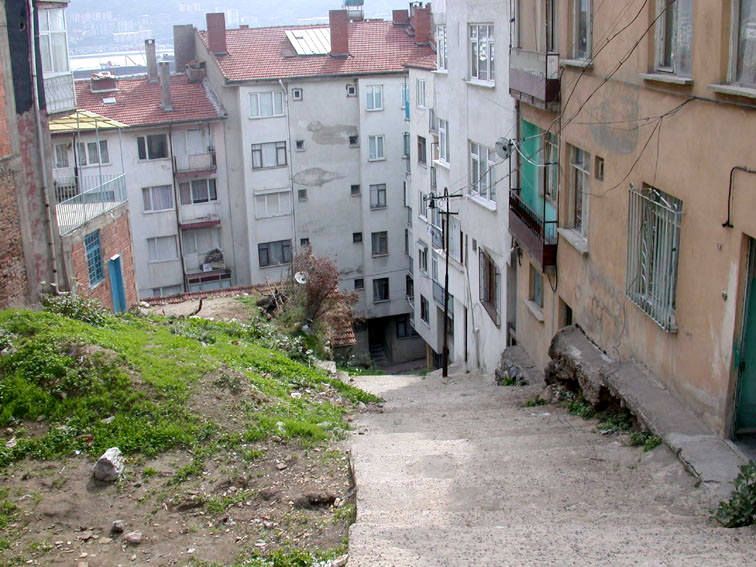 alp_orh.mh alp orh.mh