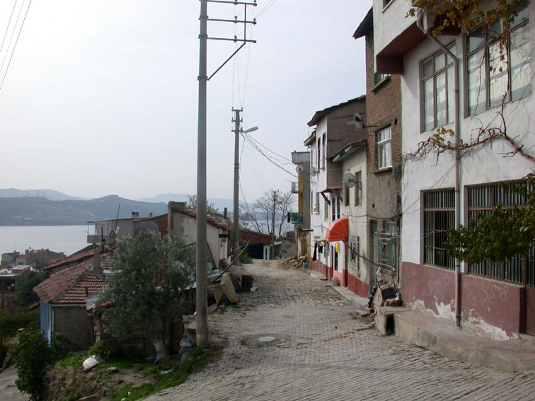 bakir bakir