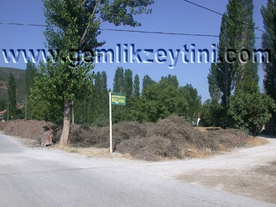 bayraktarhalisaha1 bayraktarhalisaha1
