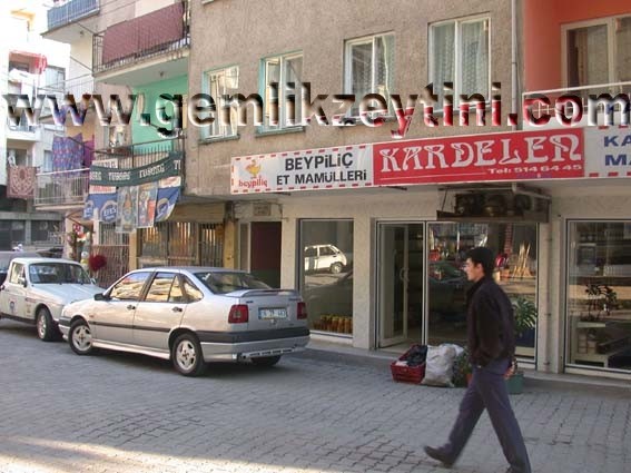 beypilic beypilic