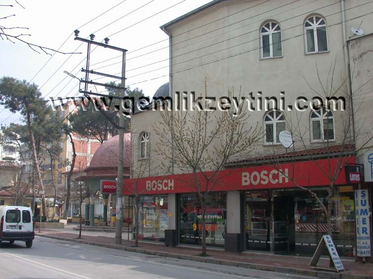 bosc bosc