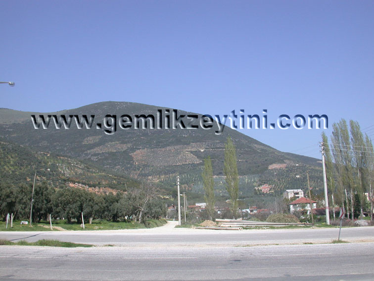 cakalderesokak cakalderesokak