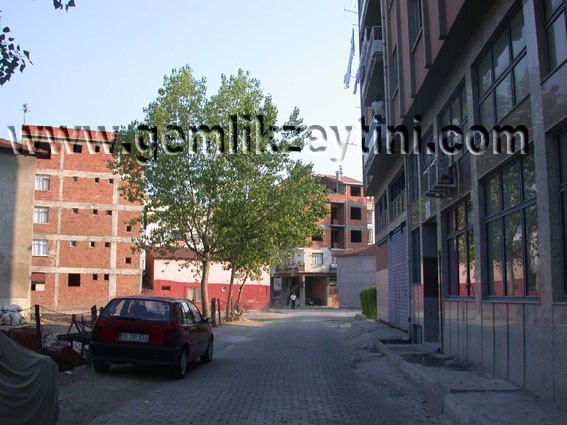 celik_drz celik drz