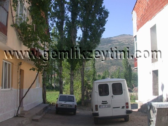 ceylan_edinc ceylan edinc