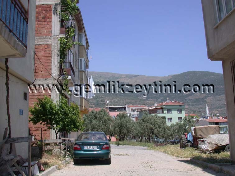 defne_osm defne osm