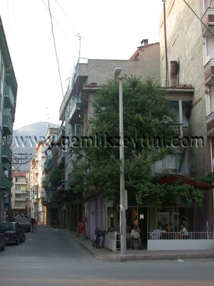 demir demir