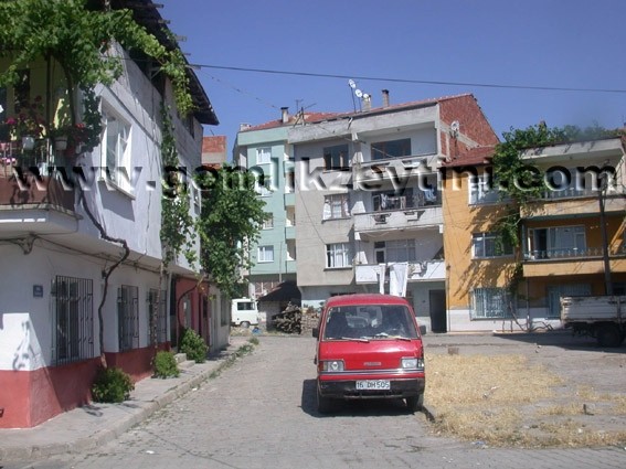 ezgi_edinЗ ezgi edinЗ