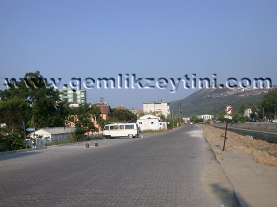 fatihcaddesi_drz fatihcaddesi drz