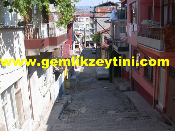 fidan_osm fidan osm