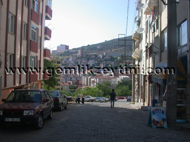 gБvensokak1 gБvensokak1