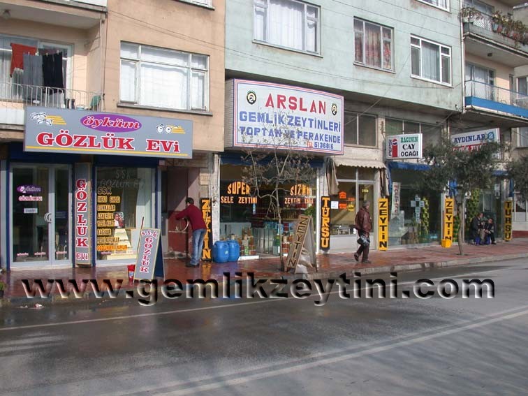 gФzlБkevi-aslanzey gФzlБkevi aslanzey